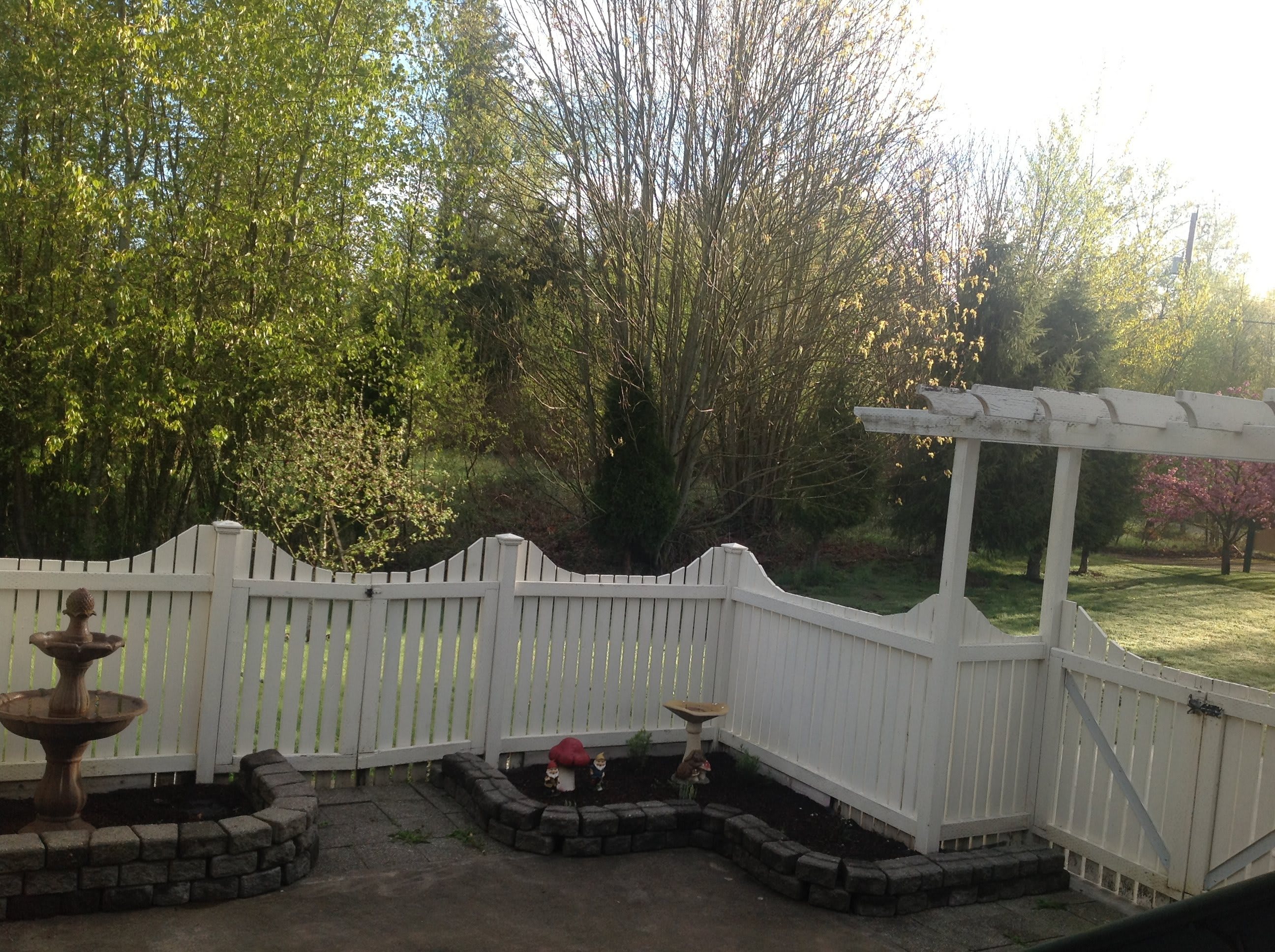 Vineyard Haven Adult Family Home community photo 1
