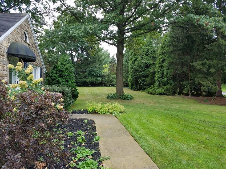 Precious Memories, LLC community photo 1