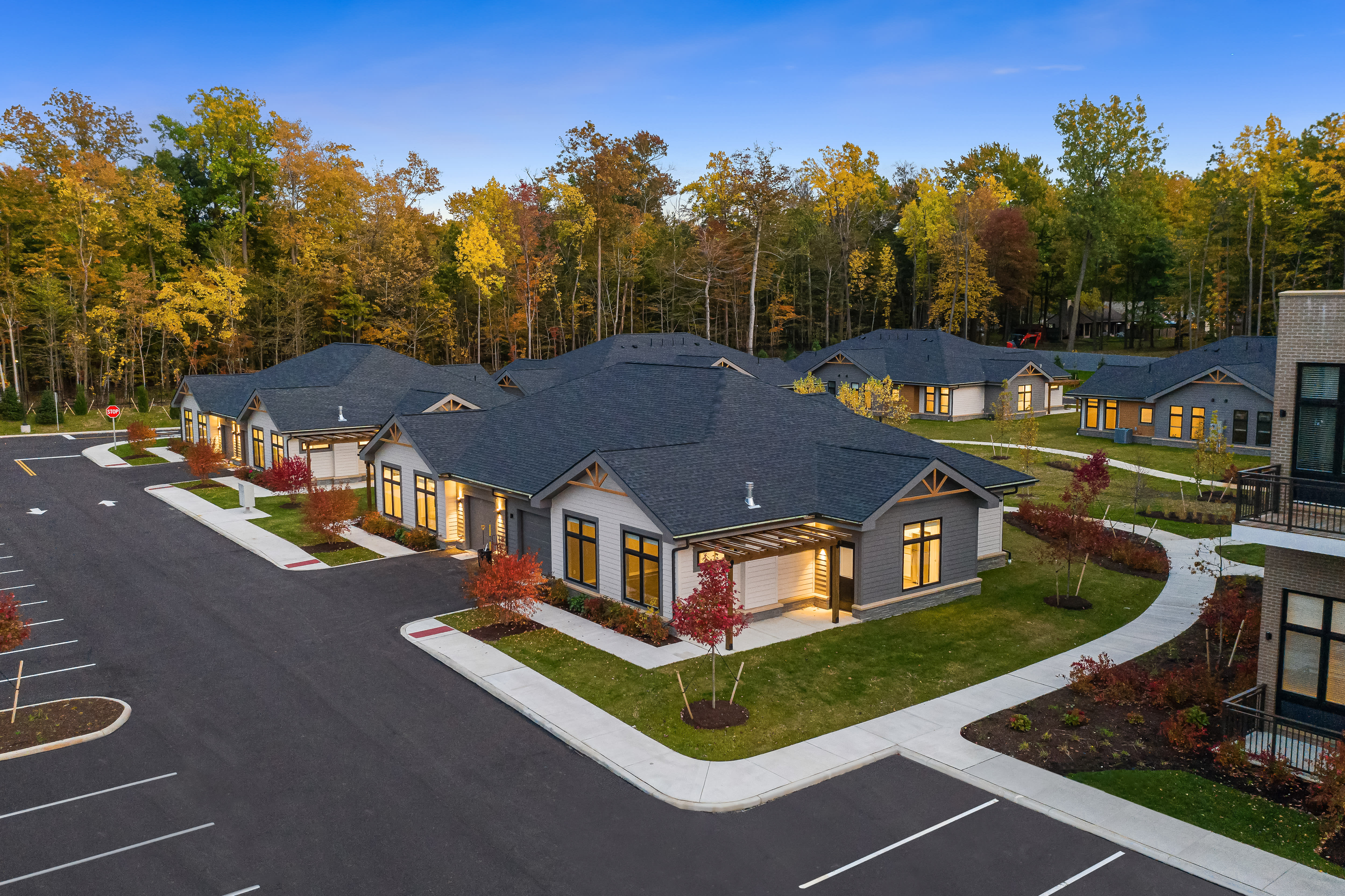 aerial community view