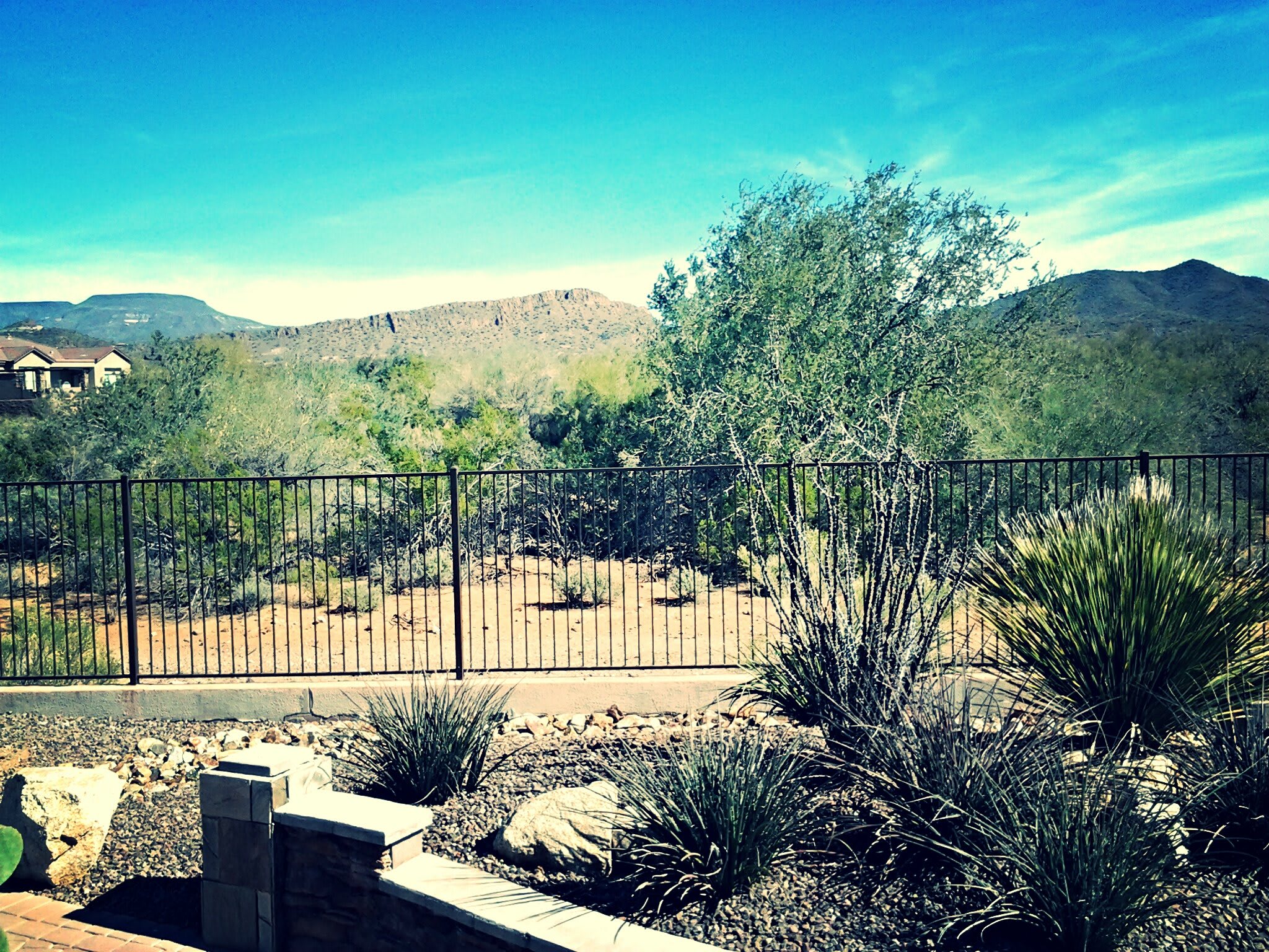 Country Club Assisted Living Care Home community photo 1