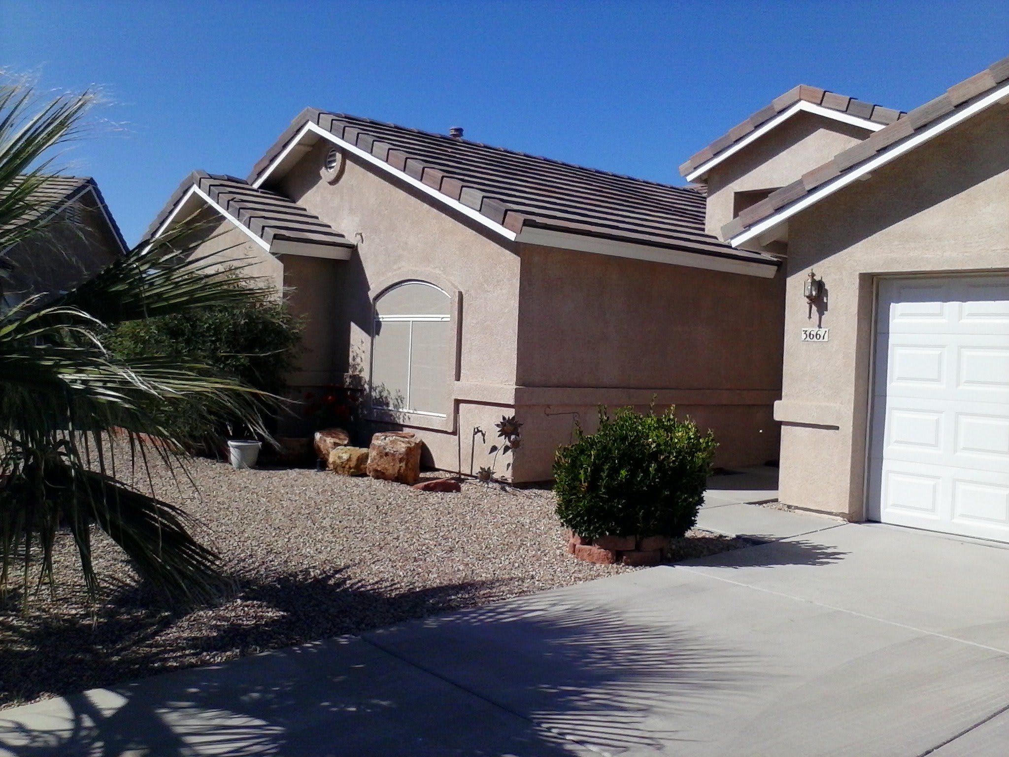 Desert Song community photo 1