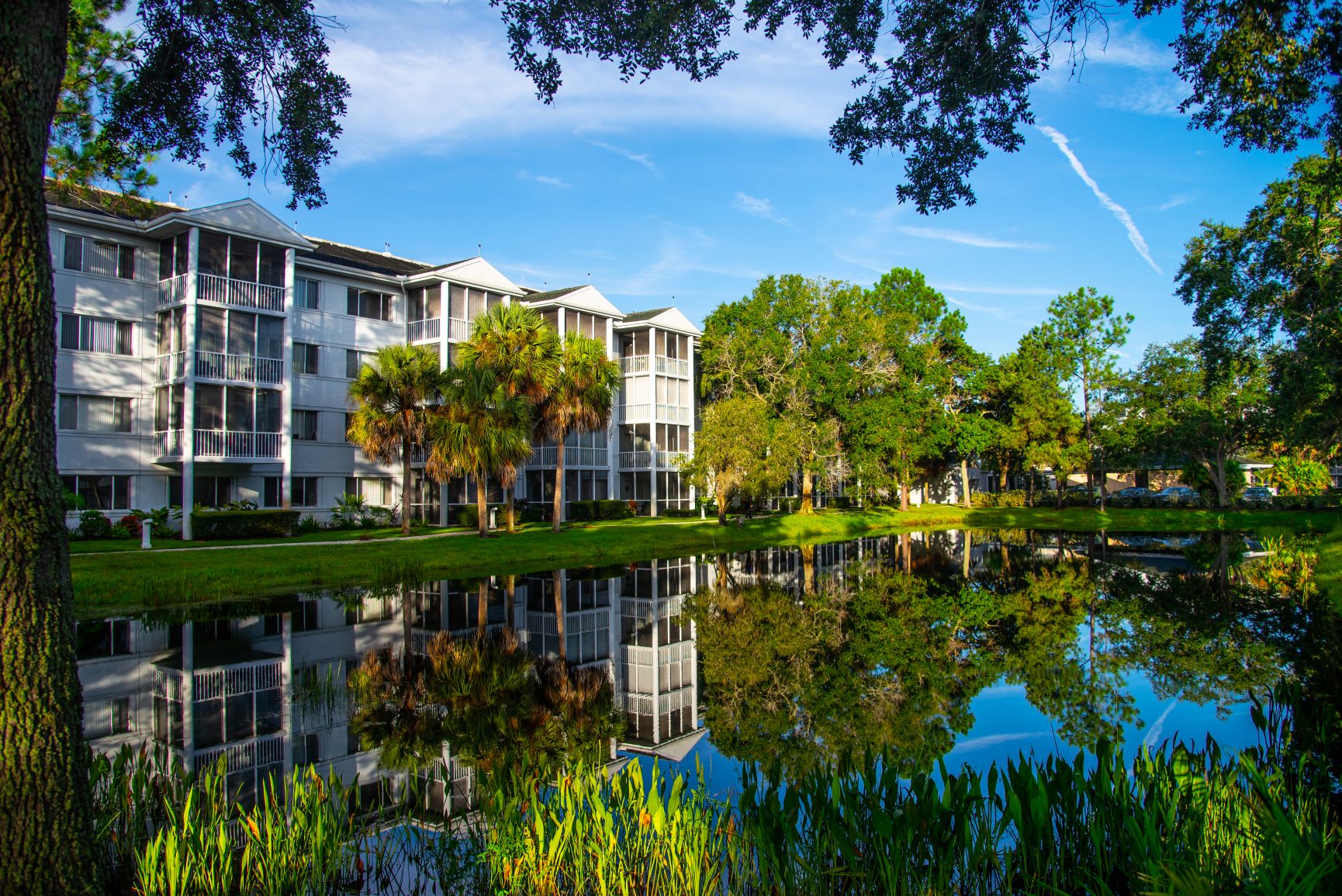 Aviva Senior Living community photo 1