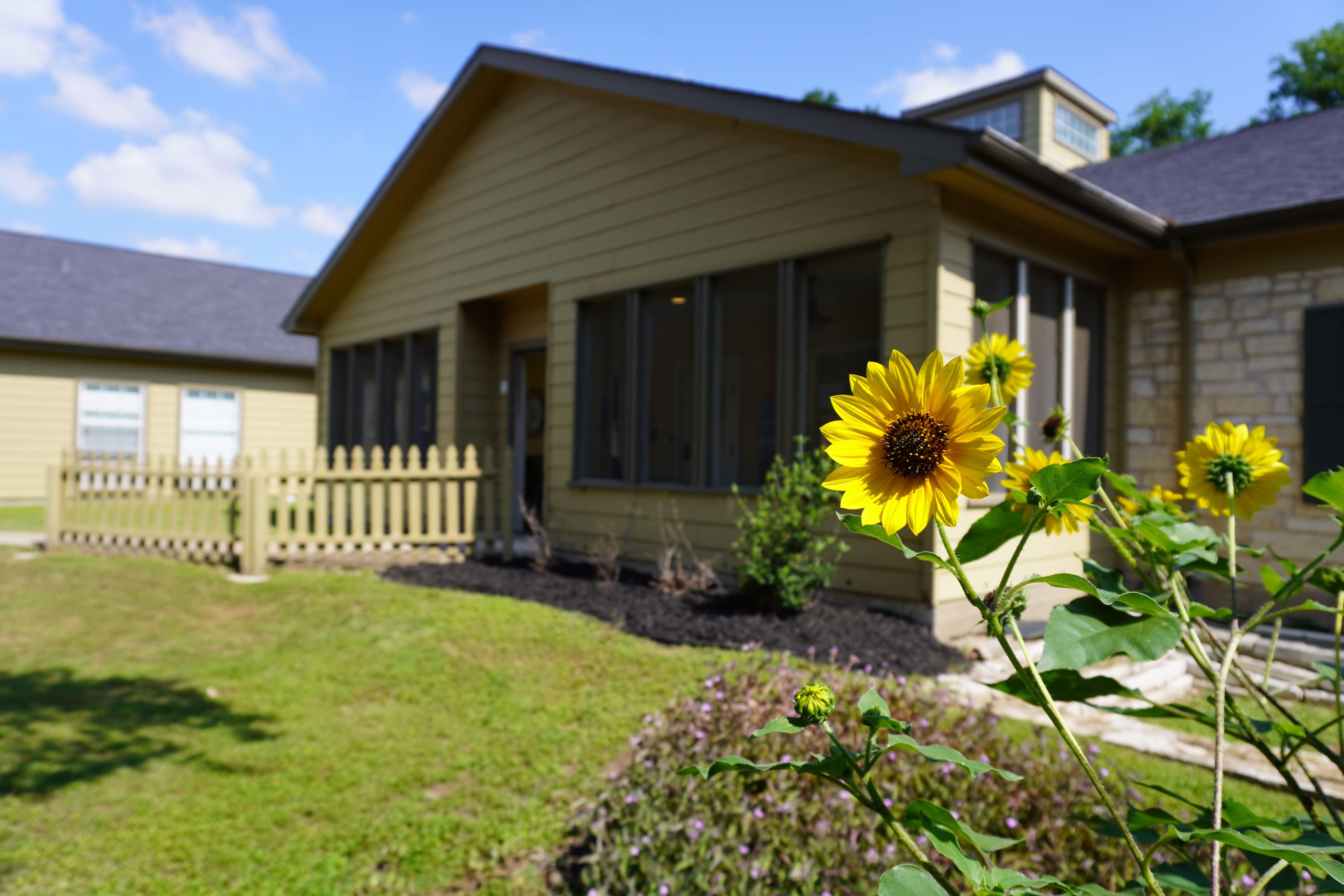 Sodalis Austin community photo 1