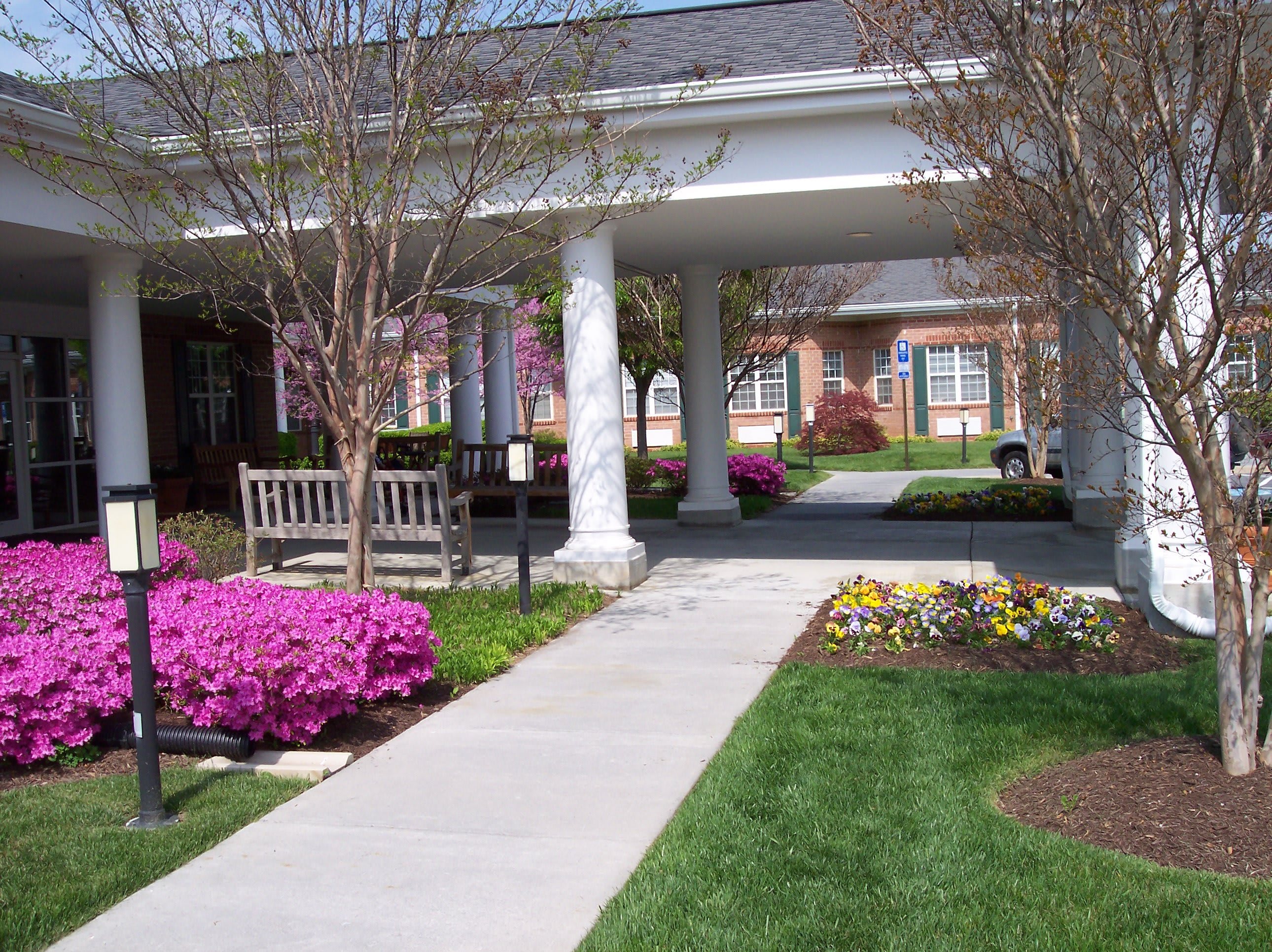 The Willows At Meadow Branch community photo 1