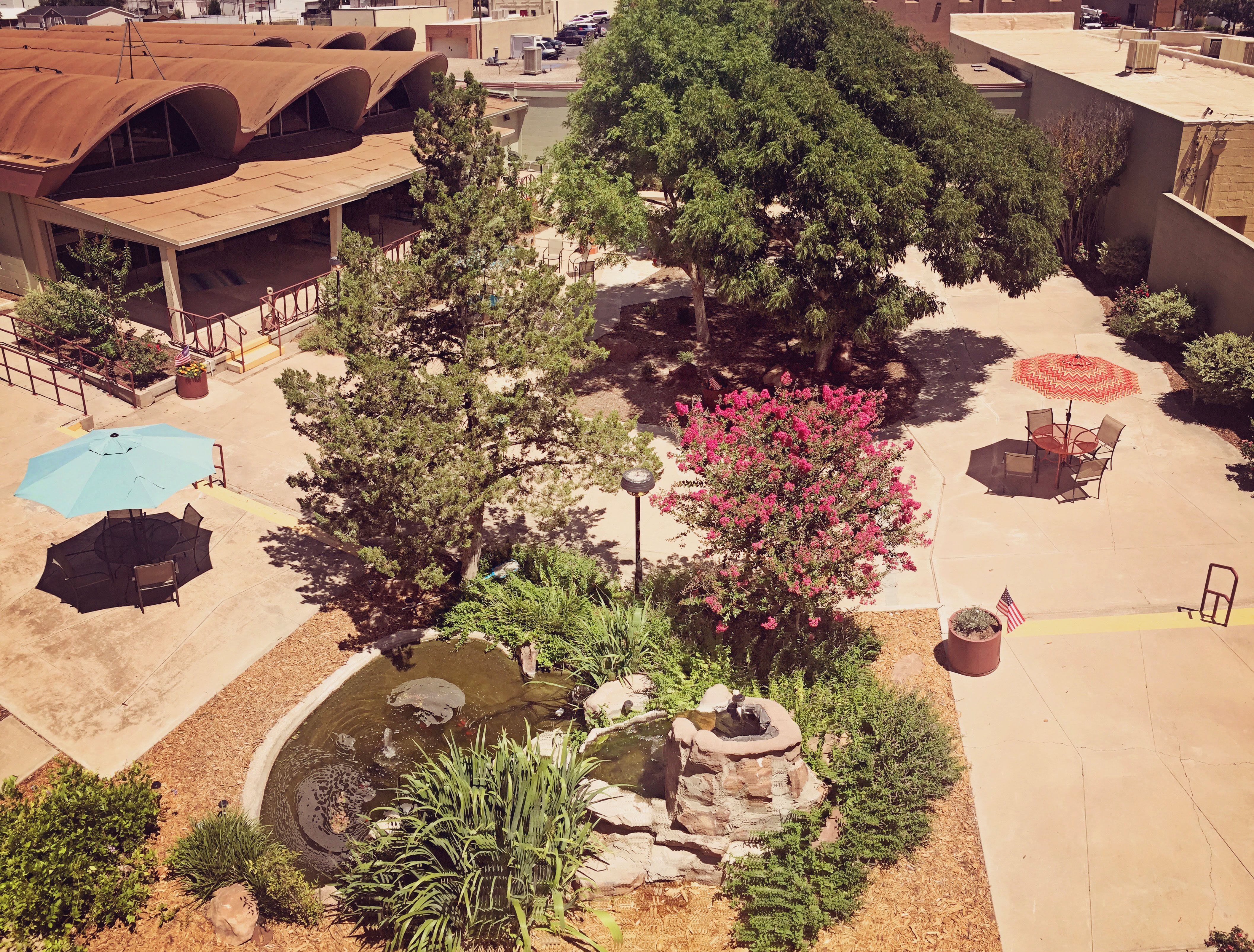 Landmark at Desert Gardens community photo 1