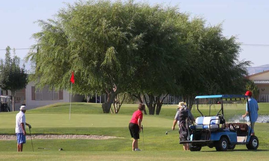 Desert Greens community photo 4