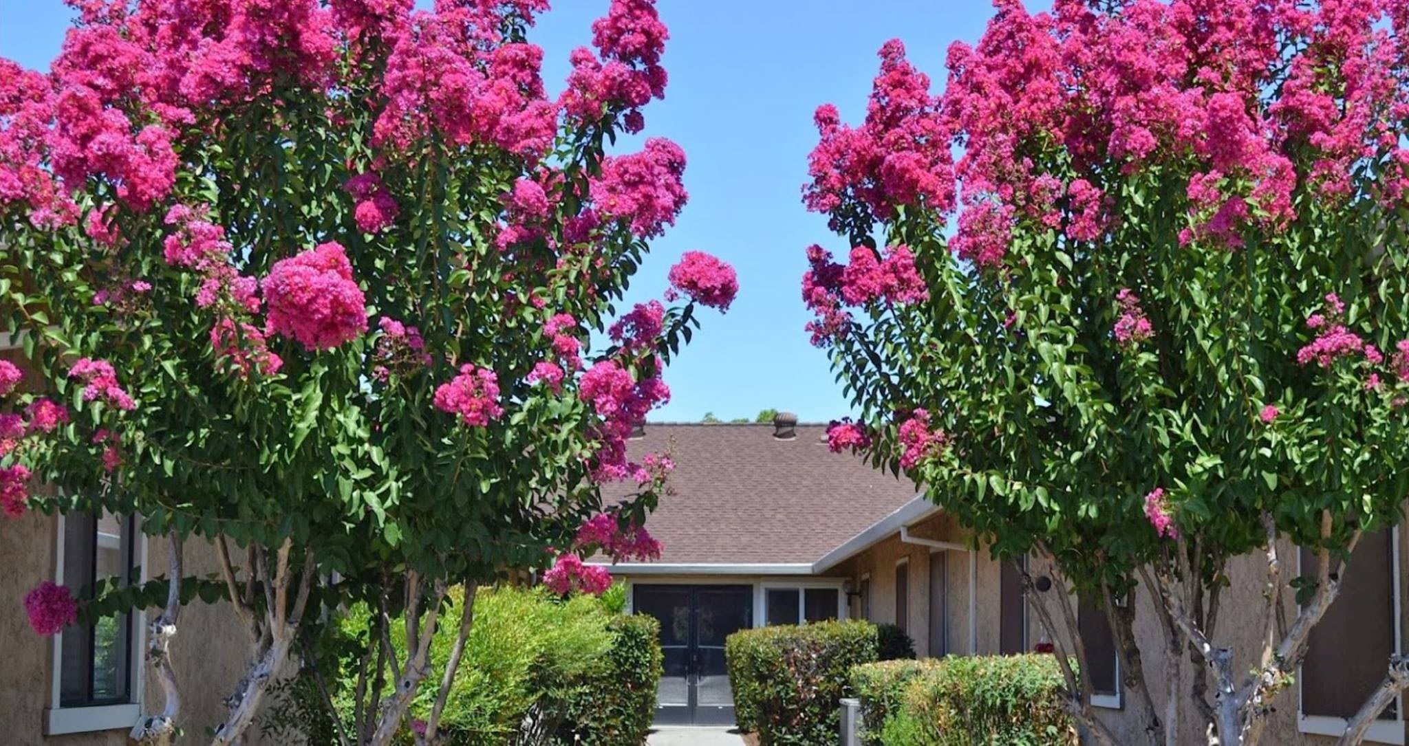 Red Bluff Senior Living community photo 1