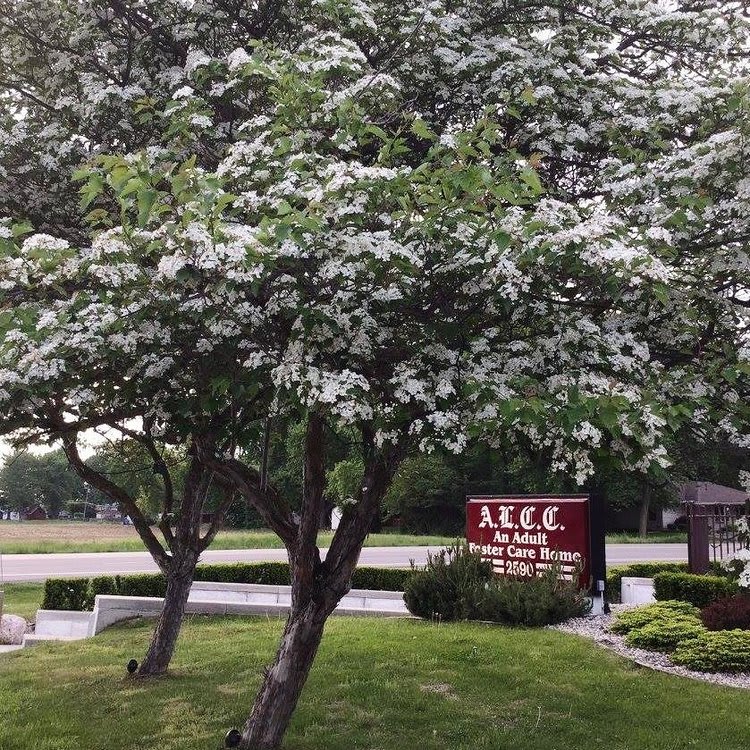 Alice Lorraine Care Center community photo 1