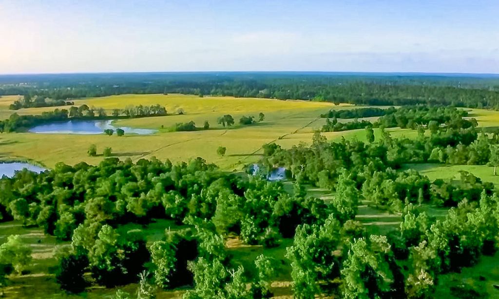 Chambers Creek community photo 1