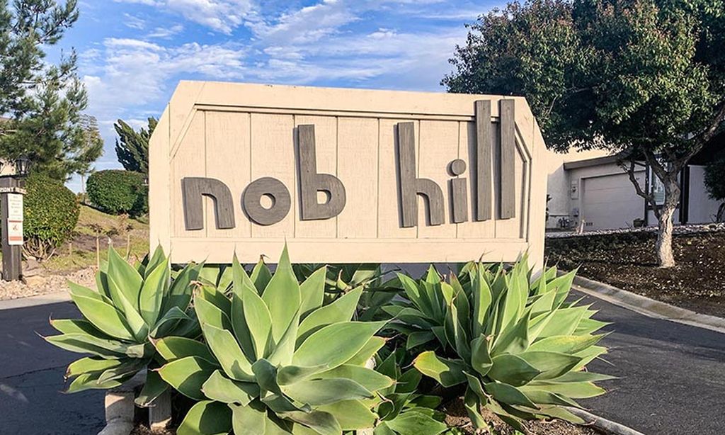 Nob Hill community photo 1