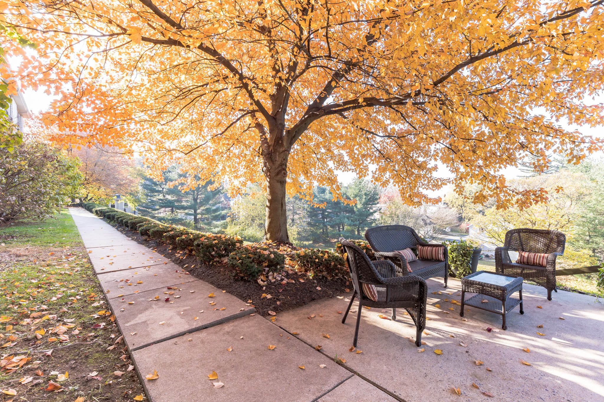 outdoor common area