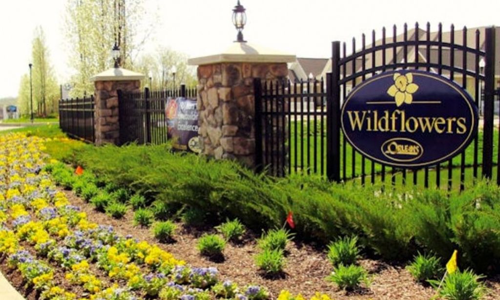 Wildflowers at Wallkill community photo 1