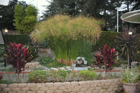 North Lake Villa community photo 1