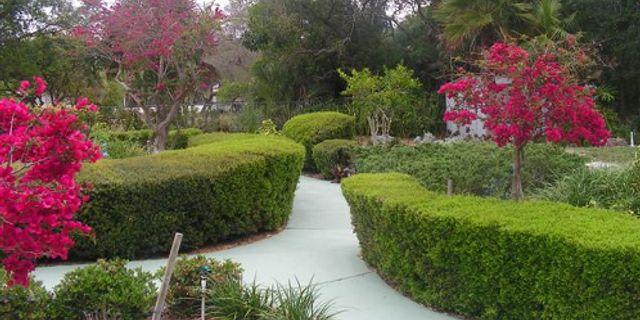 Bayshore Guest Home and Gardens community photo 1