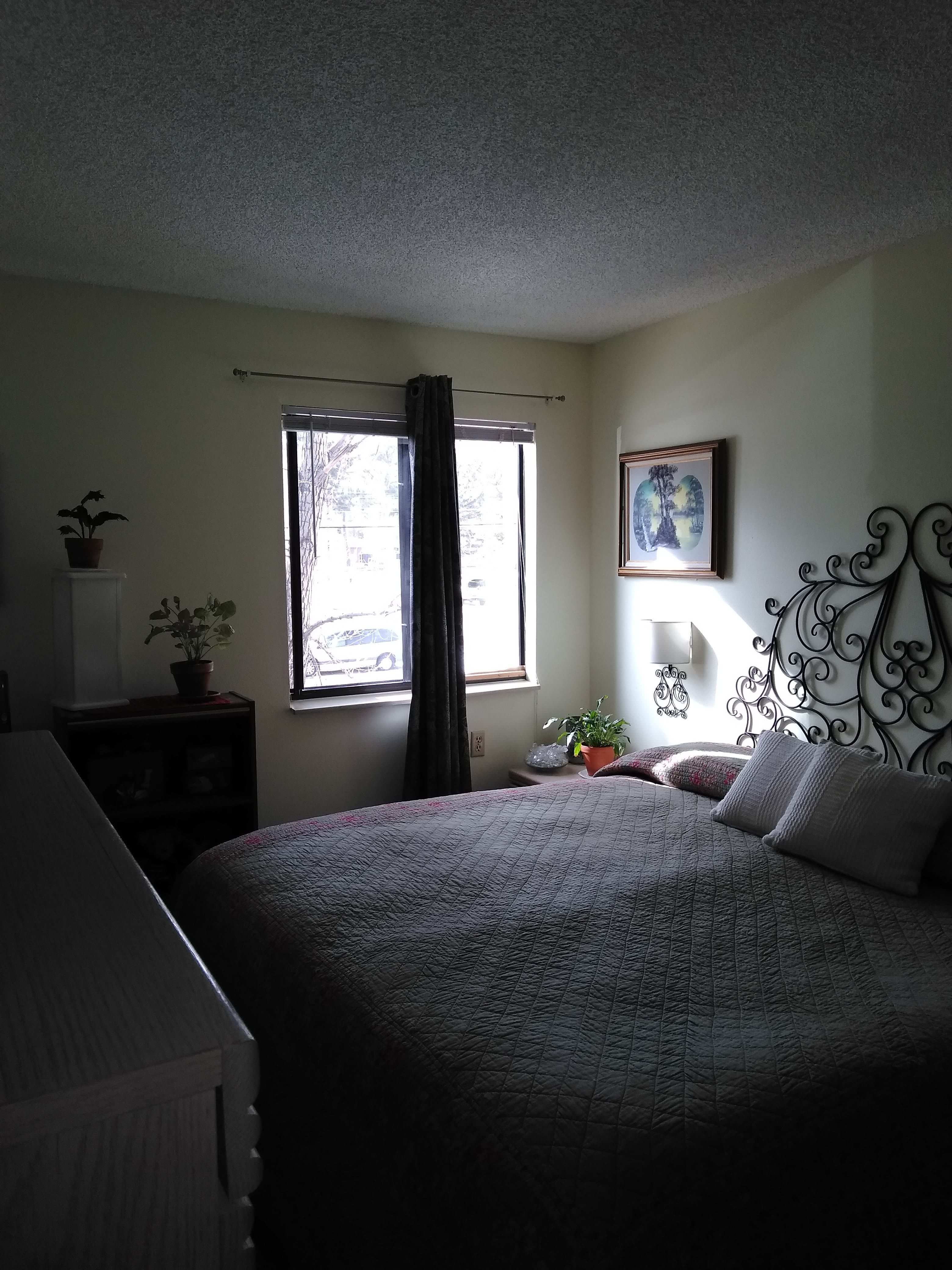 Sunrise Manor community photo 1
