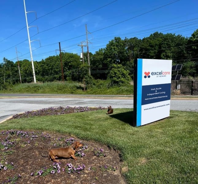 Excelcare at Newark Independent Living community photo 1