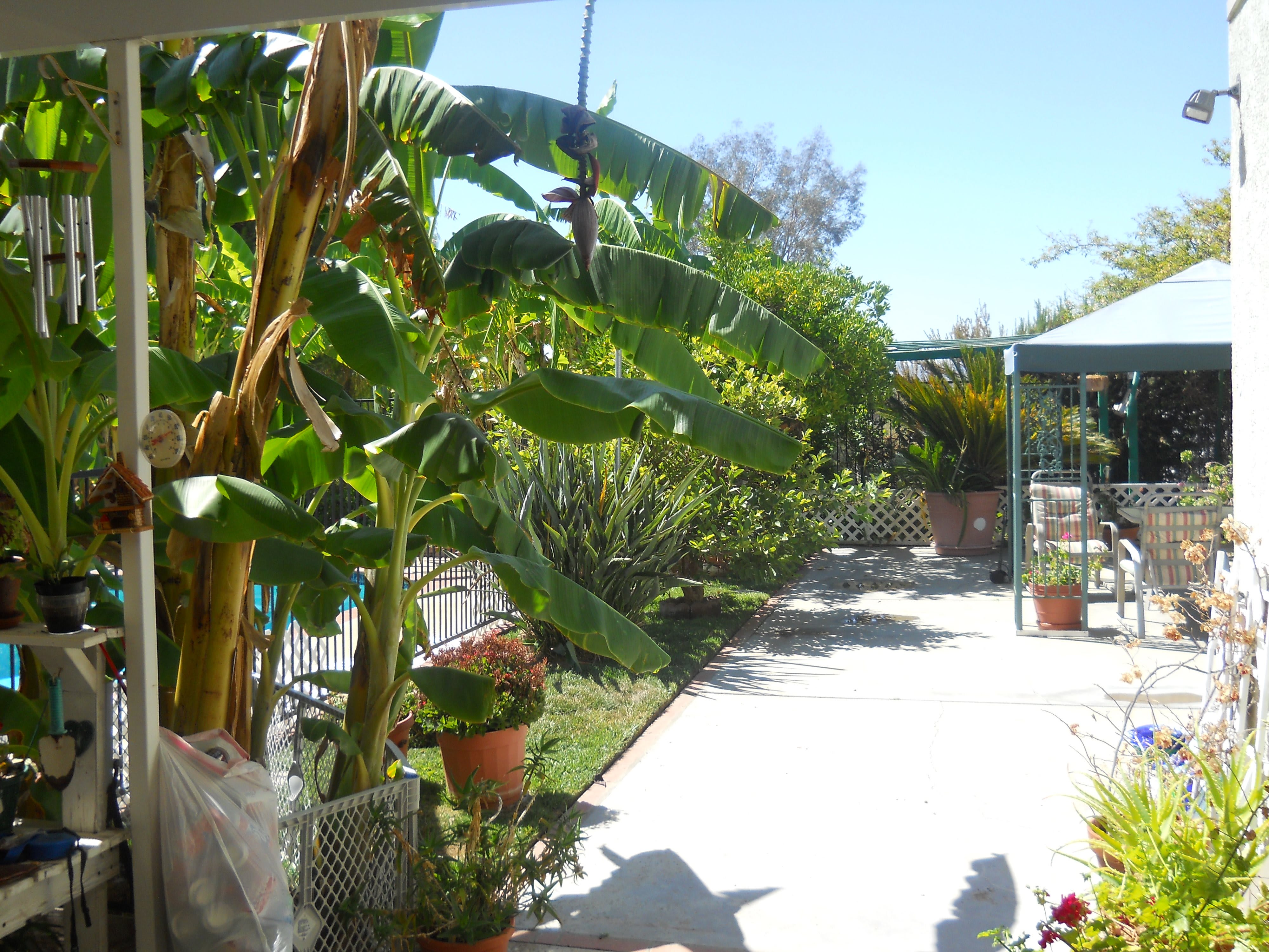 Agape Home for the Elderly community photo 1