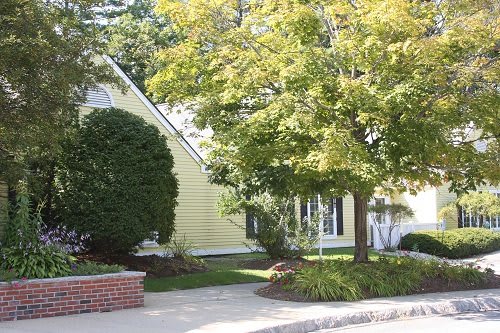Carlyle Place community photo 3