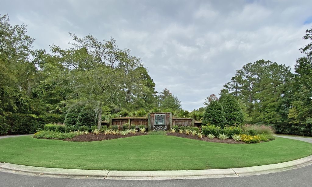 The Bluffs on the Cape Fear community photo 1