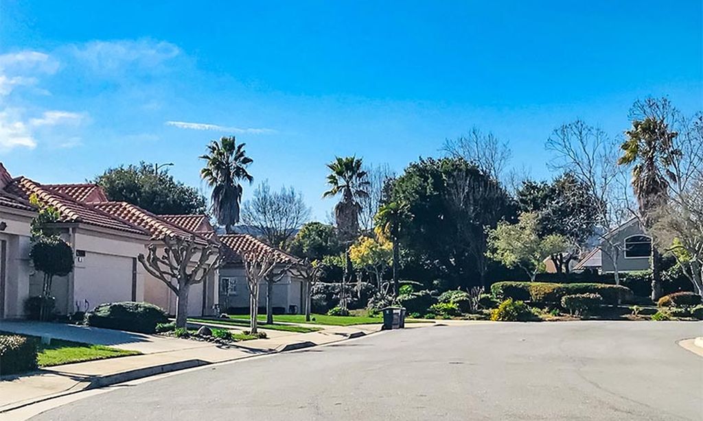 Buena Vista community photo 1