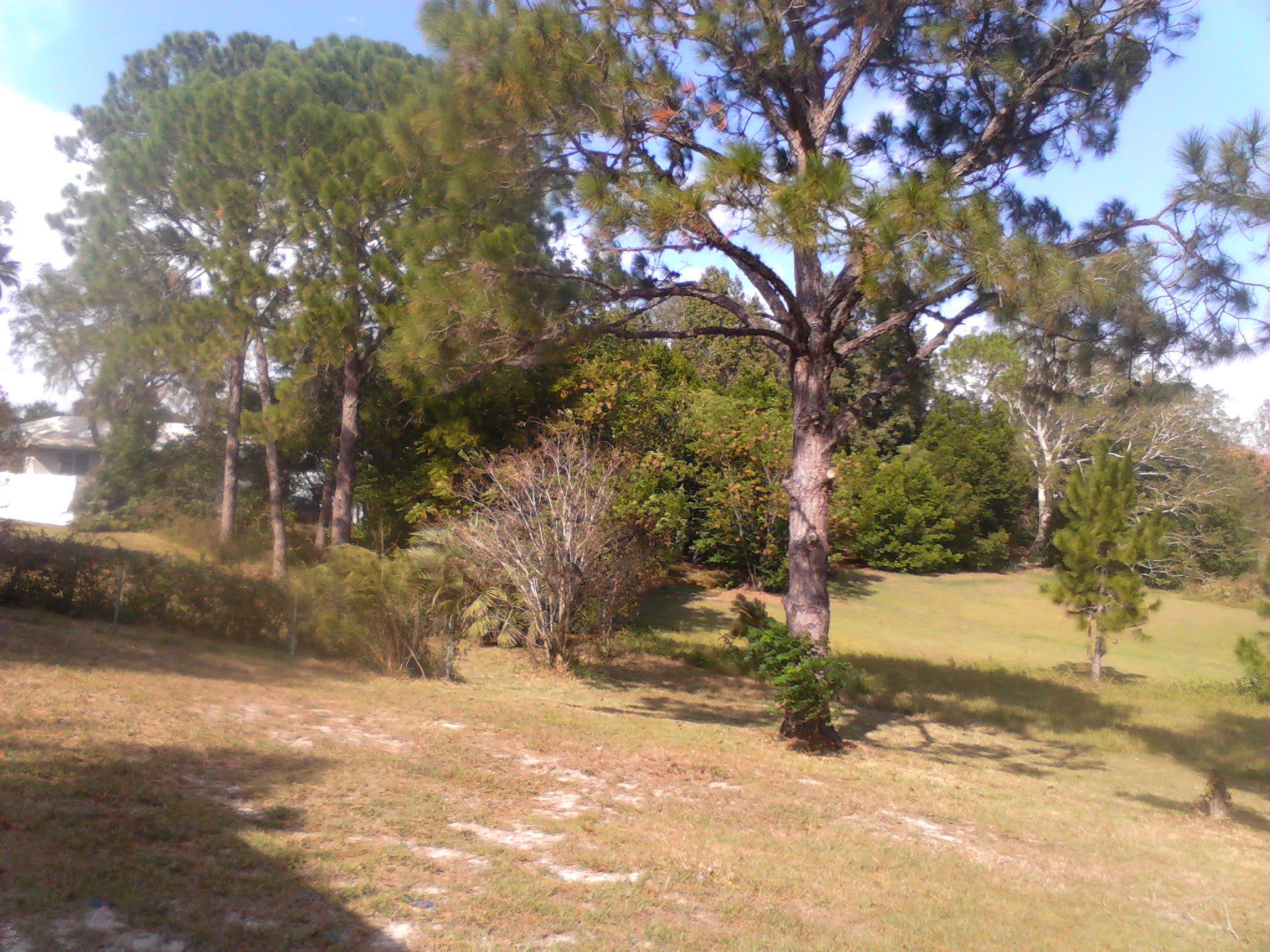 A Great Place to Stay AFCH community photo 2