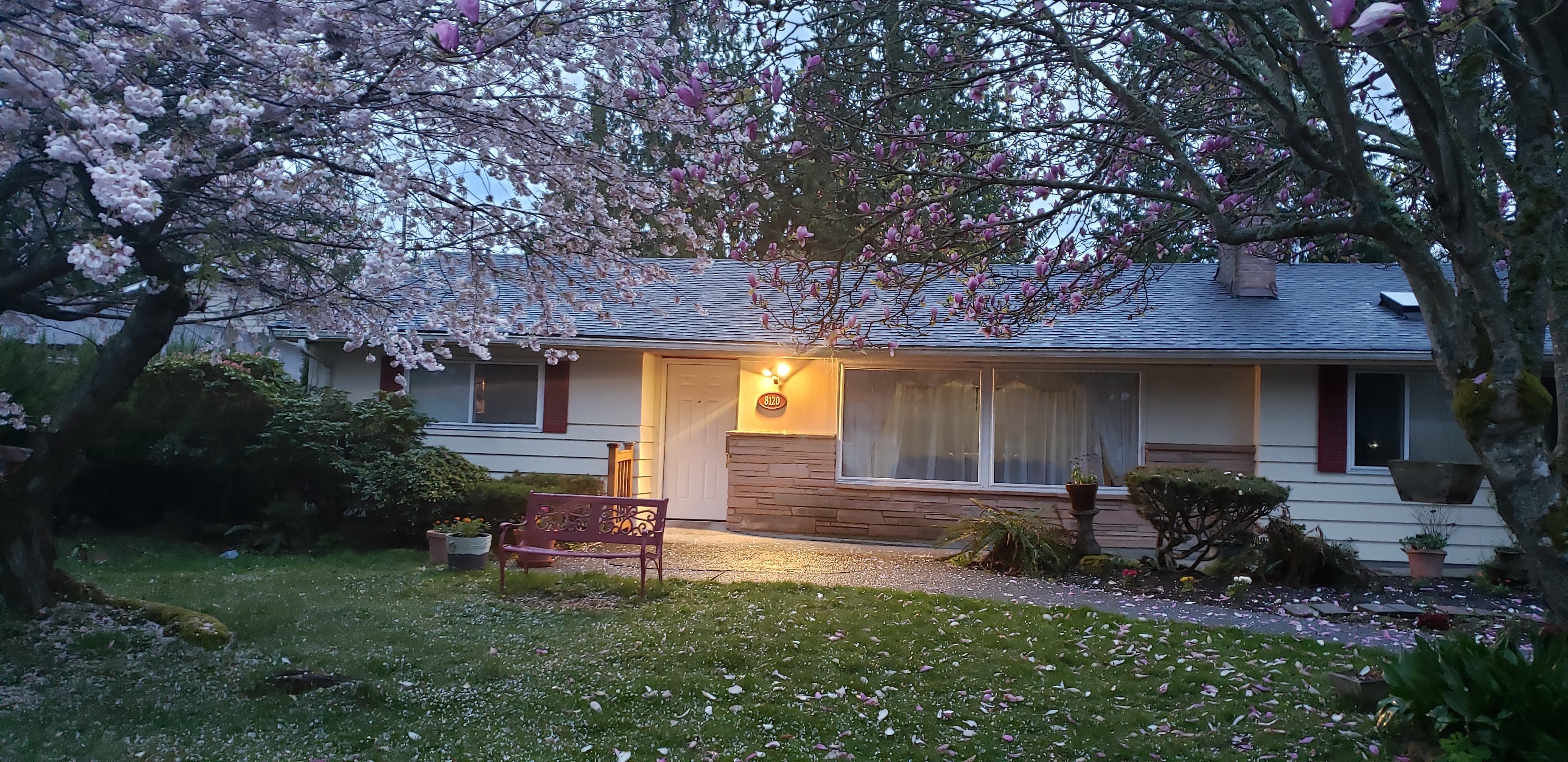 Sea View Adult Family Home community photo 1