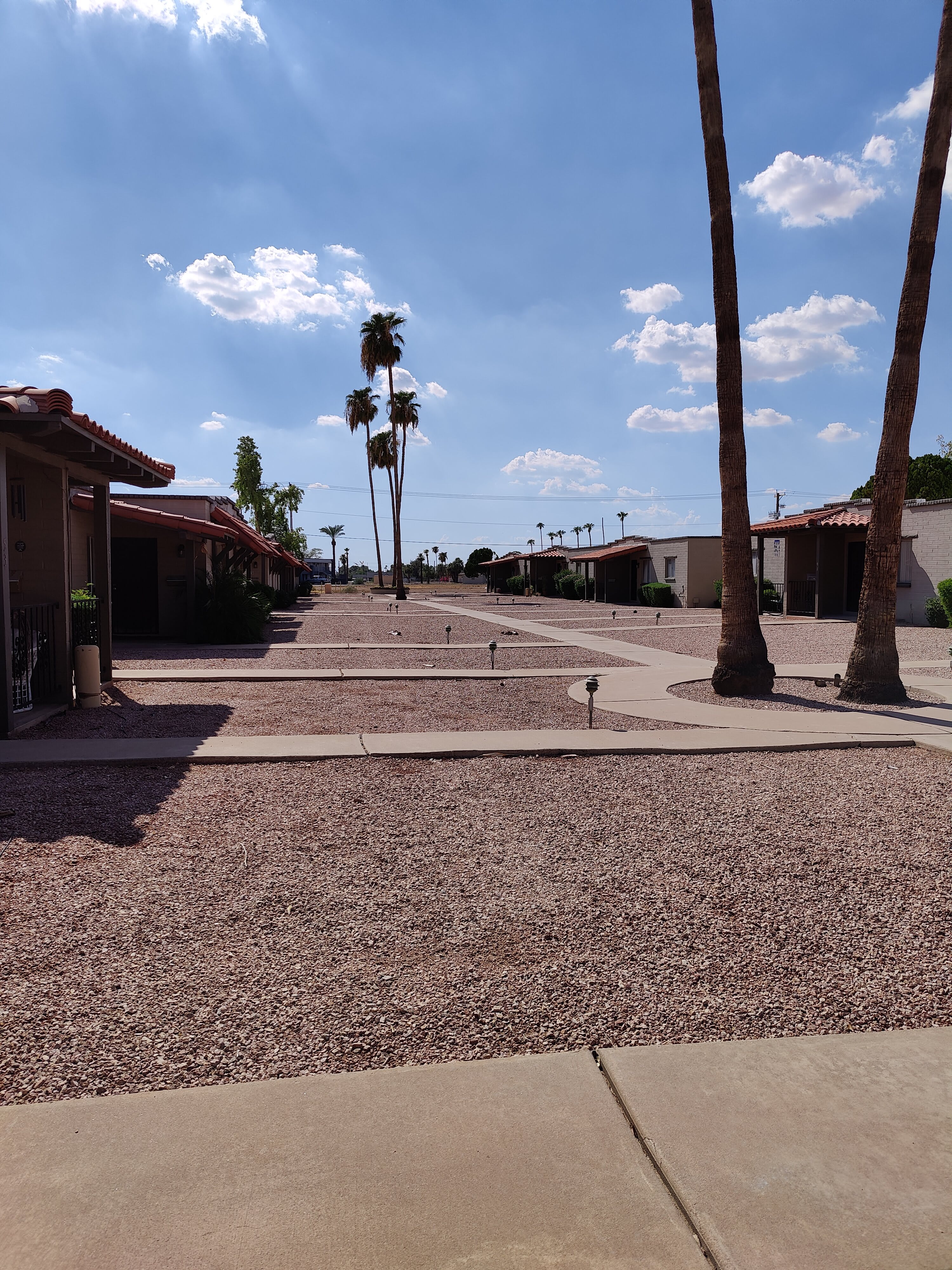 Albany Apartments community photo 1