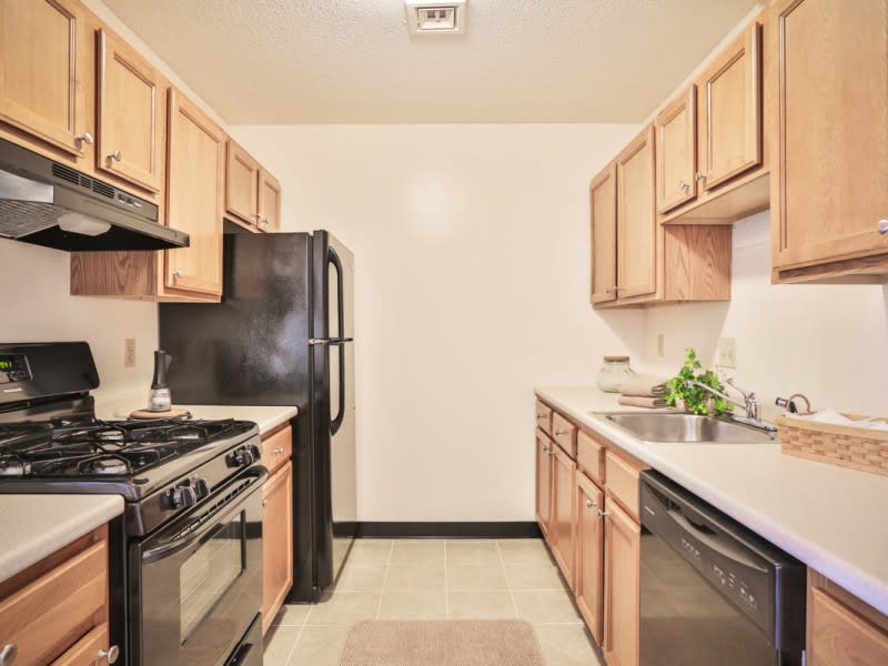 Webster Commons community photo 1