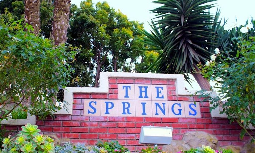 The Springs community photo 1