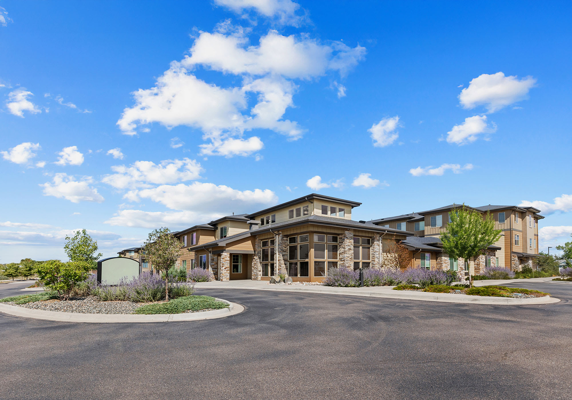 The Ivy Thornton community photo 1