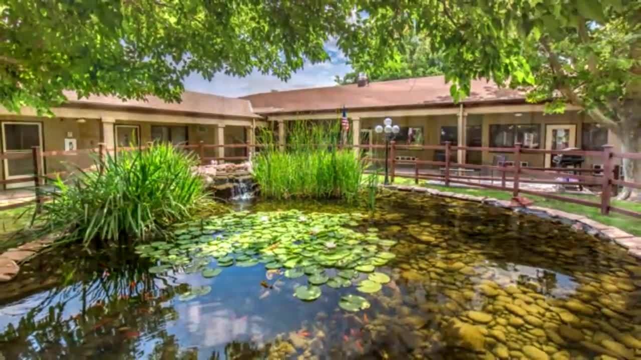pond