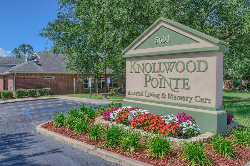 Knollwood Pointe community photo 1