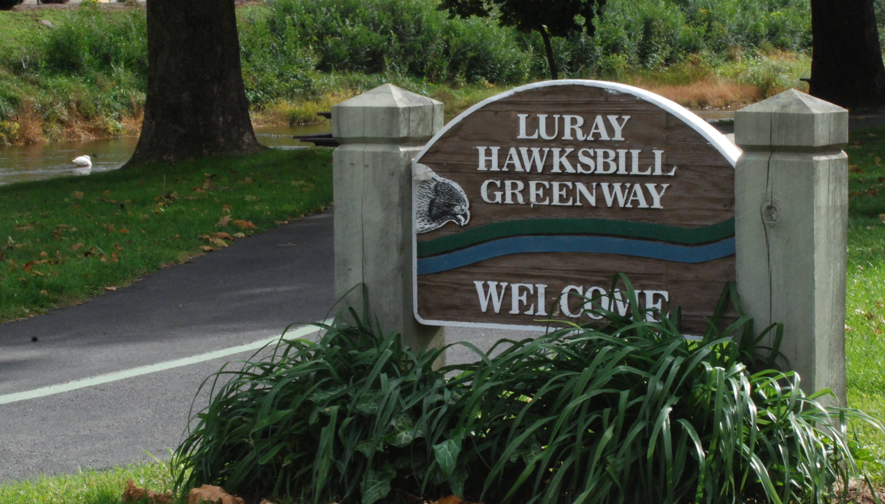 Hawksbill community photo 1
