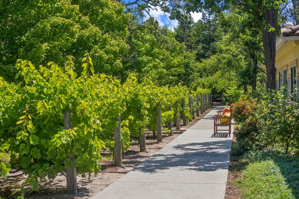 Cogir of Sonoma Plaza