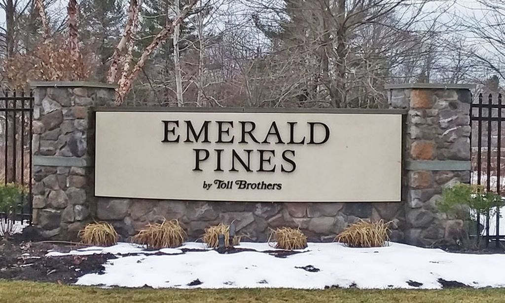 Regency at Emerald Pines community photo 1