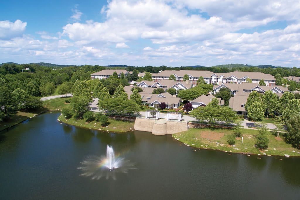 aerial view of community