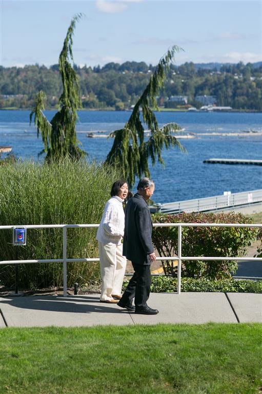 The Lakeshore community photo 4