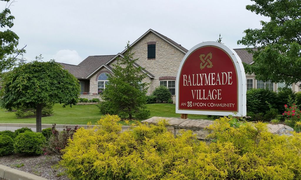 Ballymeade Village community photo 1