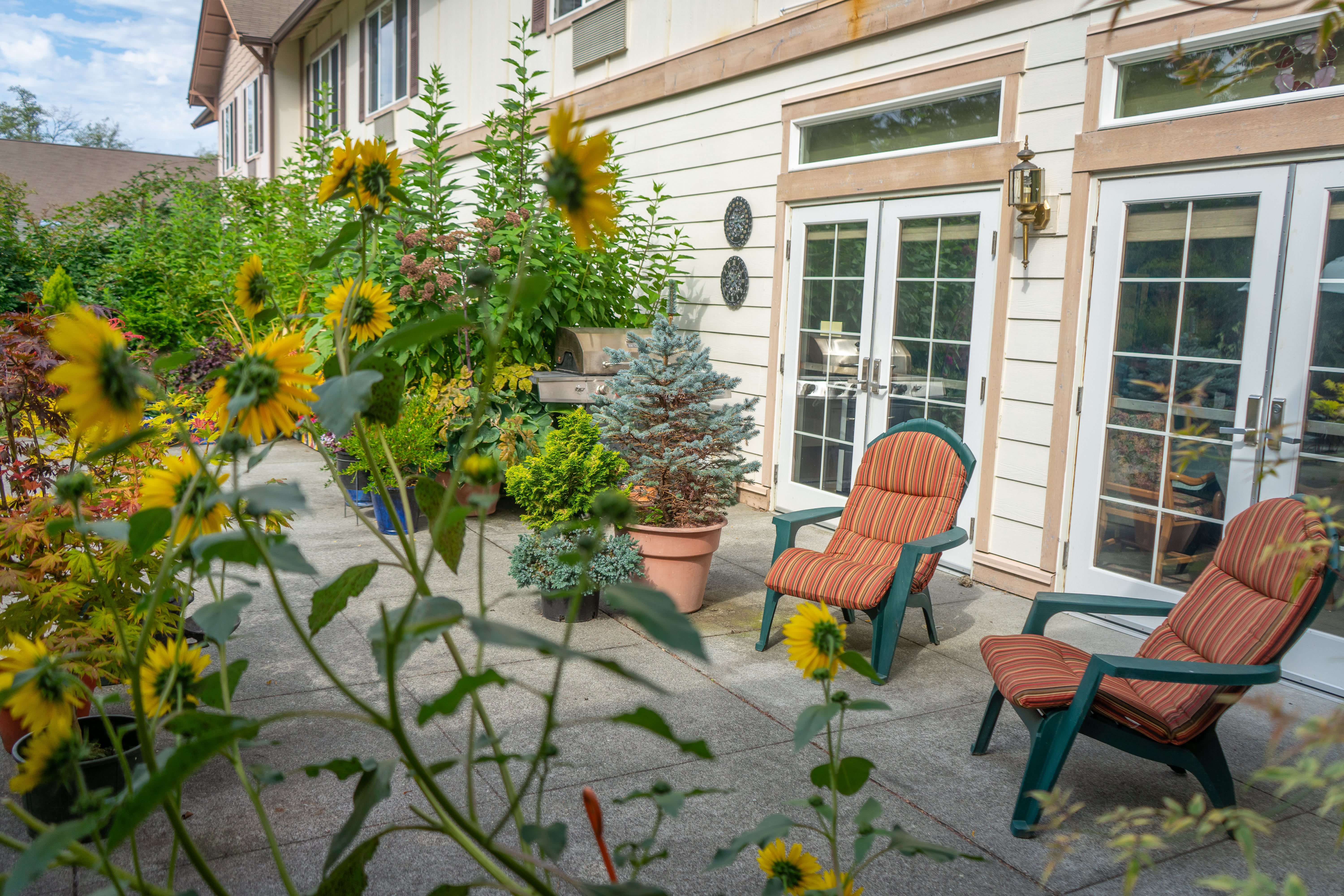 Vashon Community Care community photo 1