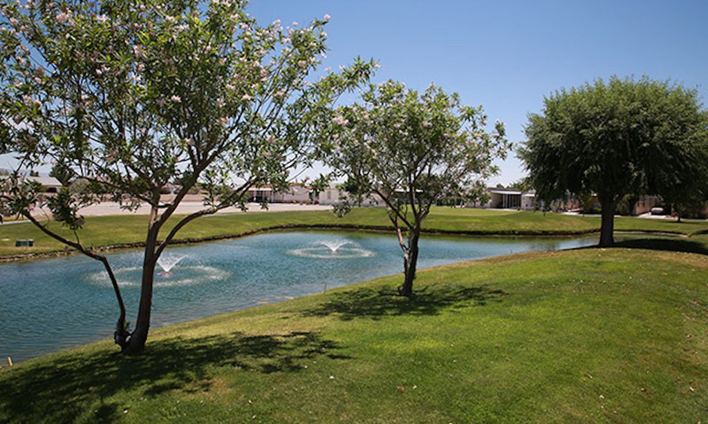 Desert Greens community photo 5