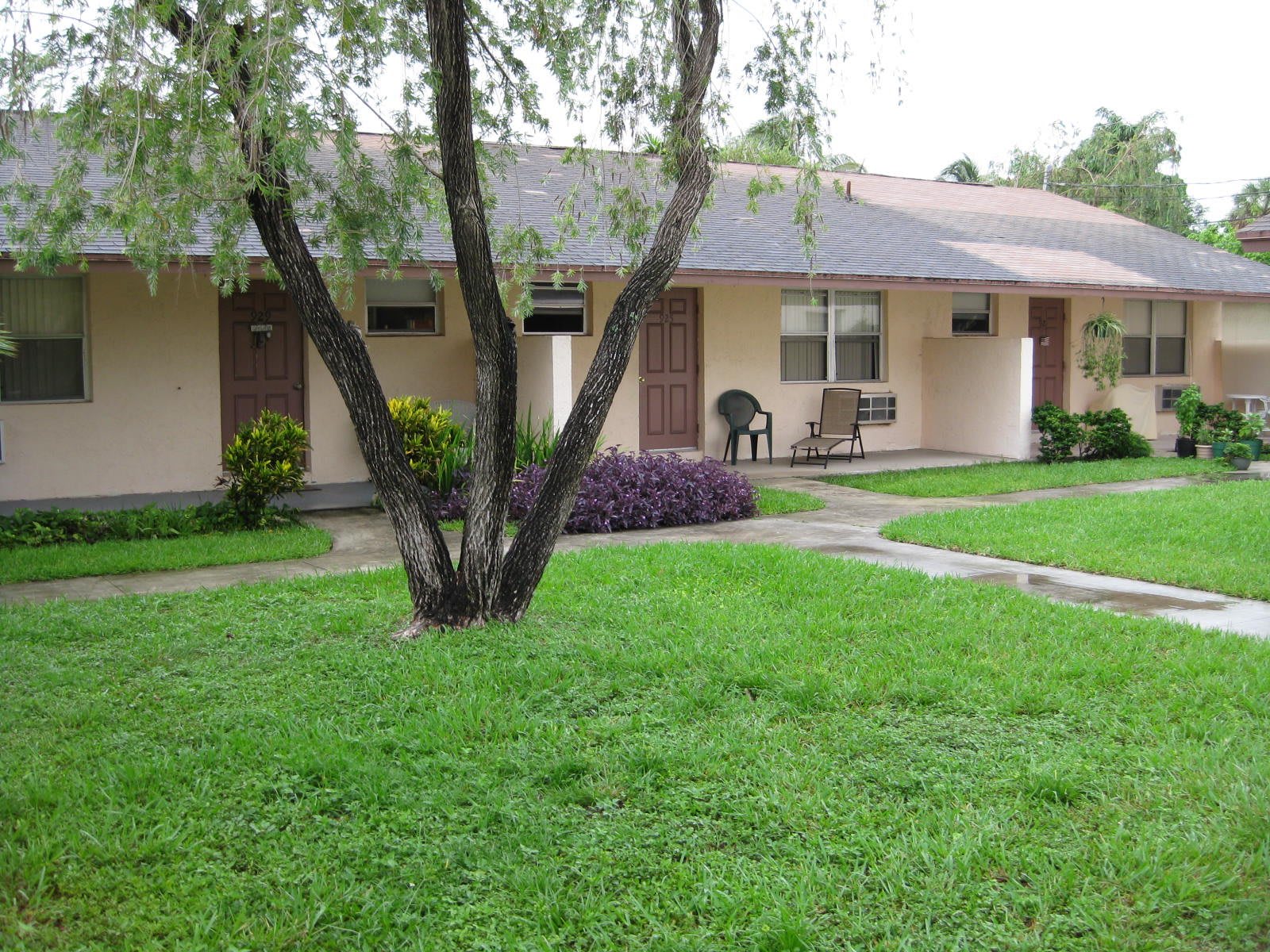 Nova Palms community photo 1