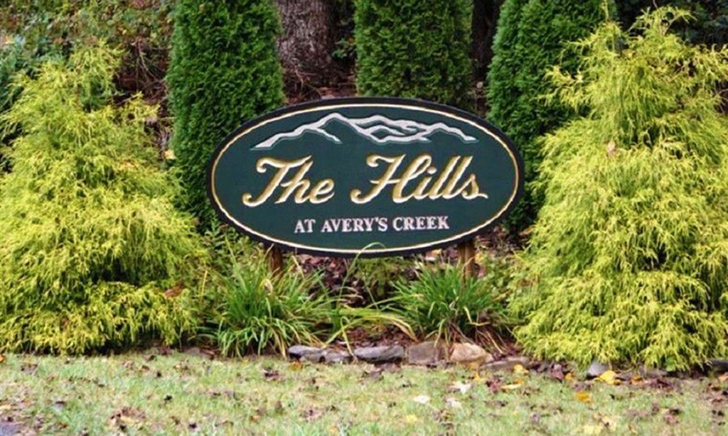 The Hills at Avery’s Creek community photo 1