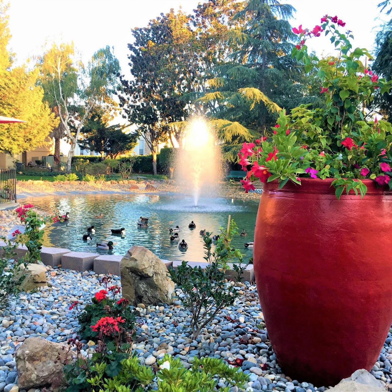 Villa Serena Retirement community photo 1