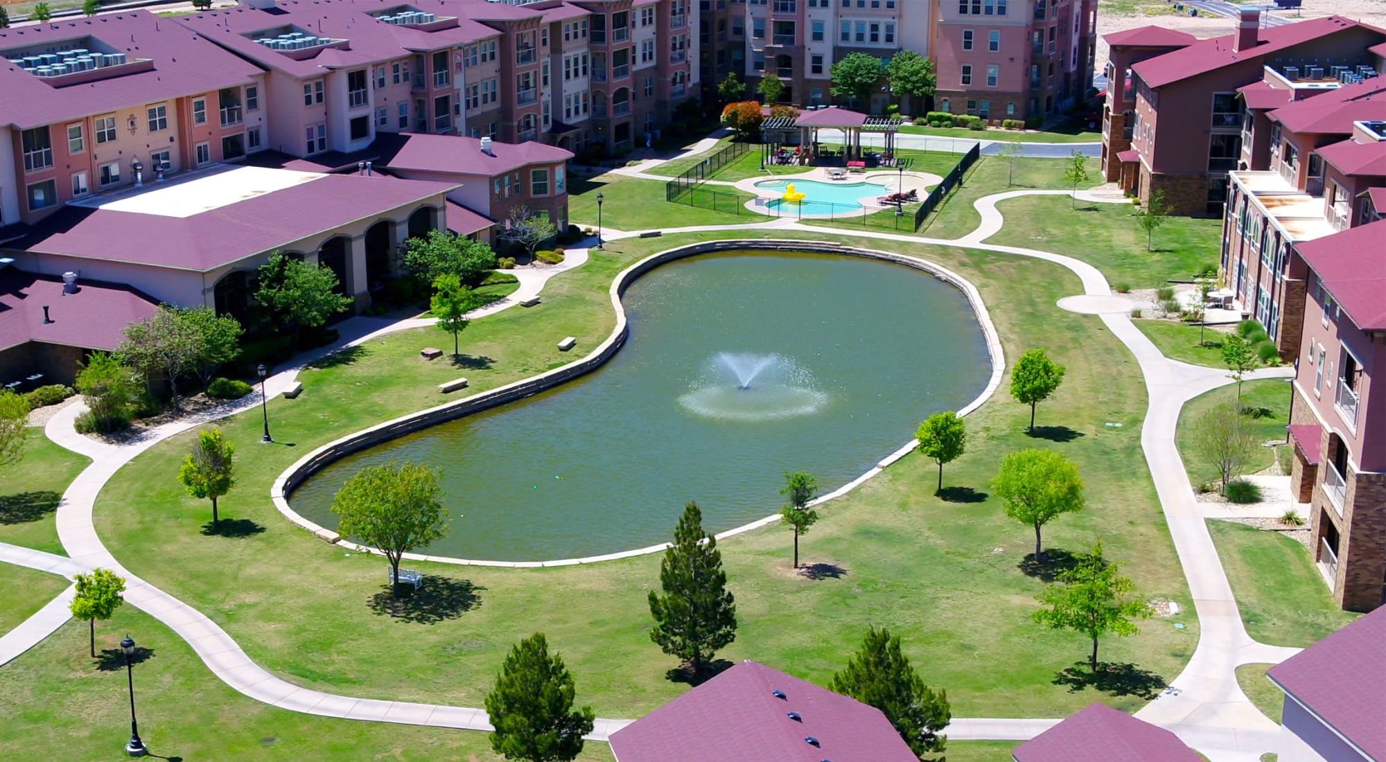 Pond