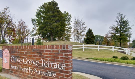 Olive Grove Terrace and The Arbors at Olive Grove community photo 1