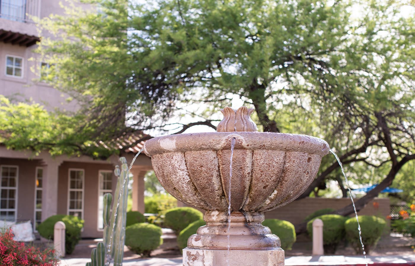 The Fountains at La Cholla community photo 1