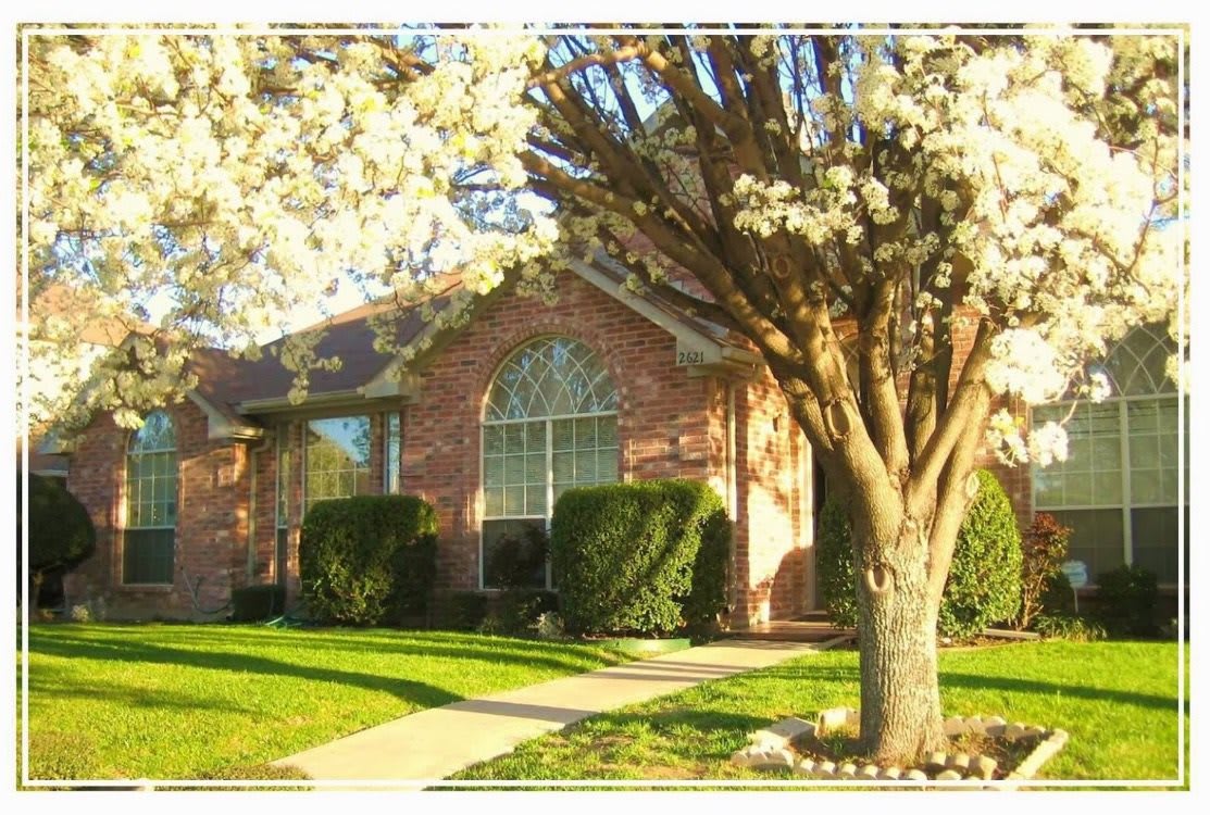 Sophya's Assisted Living community photo 1