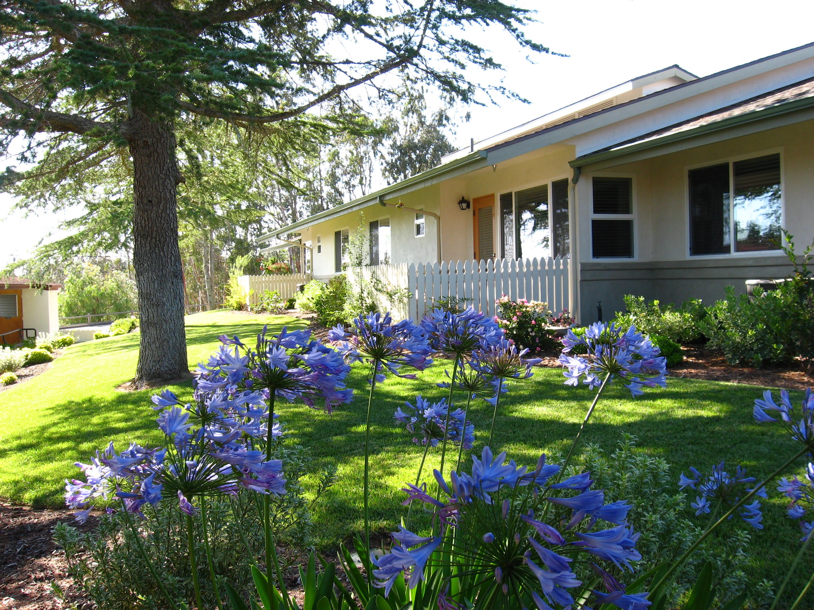 Atterdag Village of Solvang community photo 1