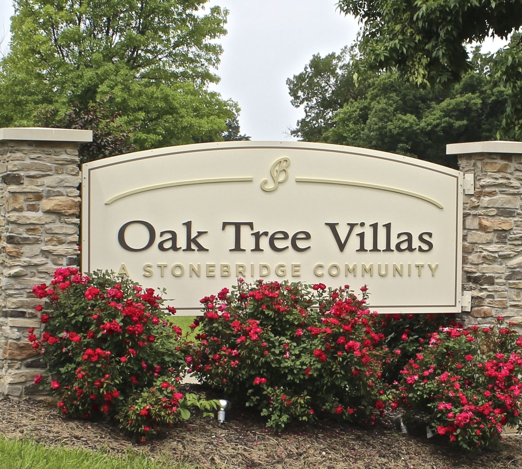 Oak Tree - ALF community photo 1