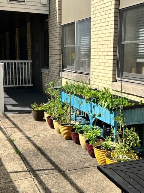 Monarch Meadow community photo 4